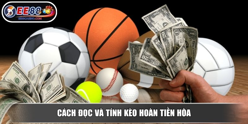 Cách đọc và tính kèo hoàn tiền hòa