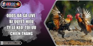 Odds đá gà live